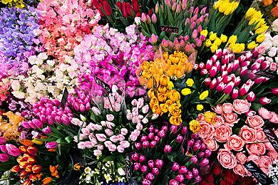 THQ Nordic《时空英豪2：新起点》全新截图分享